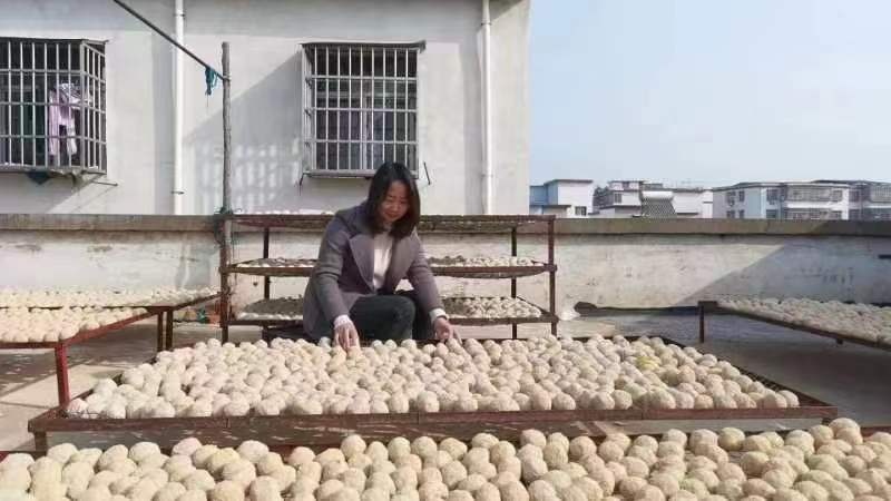 微信图片_20230219185217.jpg