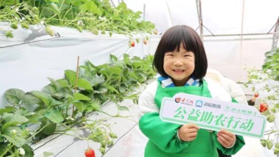 沪上阿姨鲜果茶助农公益行动走进山东临沂