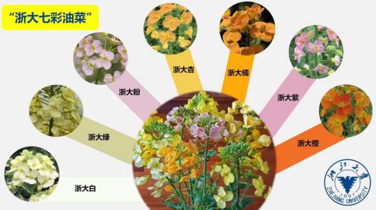 QQ截图20230310135006.jpg