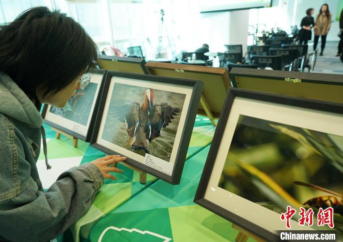 首届北京高校大学生保护生物多样性摄影大赛落幕