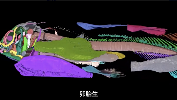 8c443cb7a9807b6bde390d07a0c2f131_1684217846561002.png