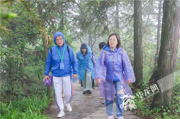 百家融媒重庆行丨百家融媒记者走进彭水阿依林海 感知不一样的康养旅游