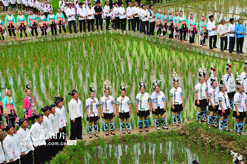 2023年6月10日，侗族群众在贵州省黎平县肇兴侗寨的田园中演唱侗族大歌。