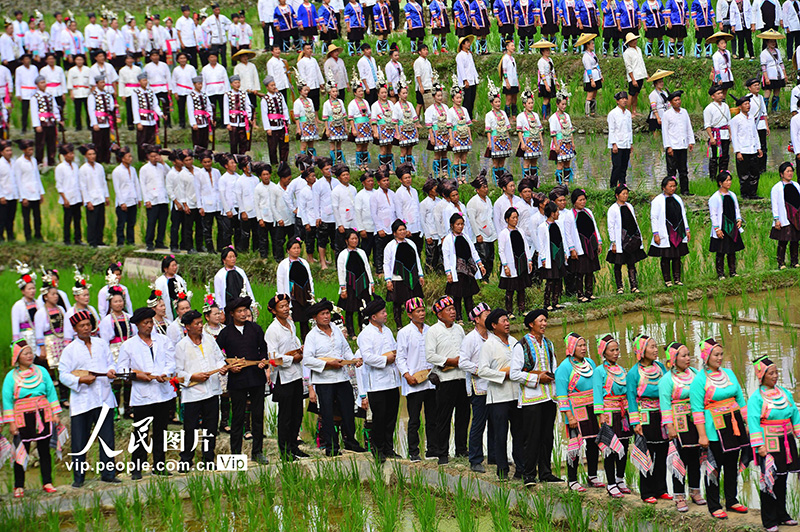 2023年6月10日，侗族群众在贵州省黎平县肇兴侗寨的田园中演唱侗族大歌。