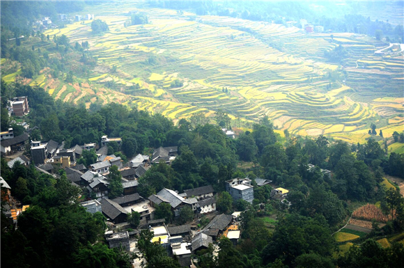 酉阳花田乡何家岩梯田图片