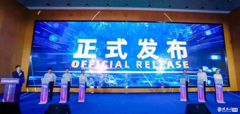 图片6