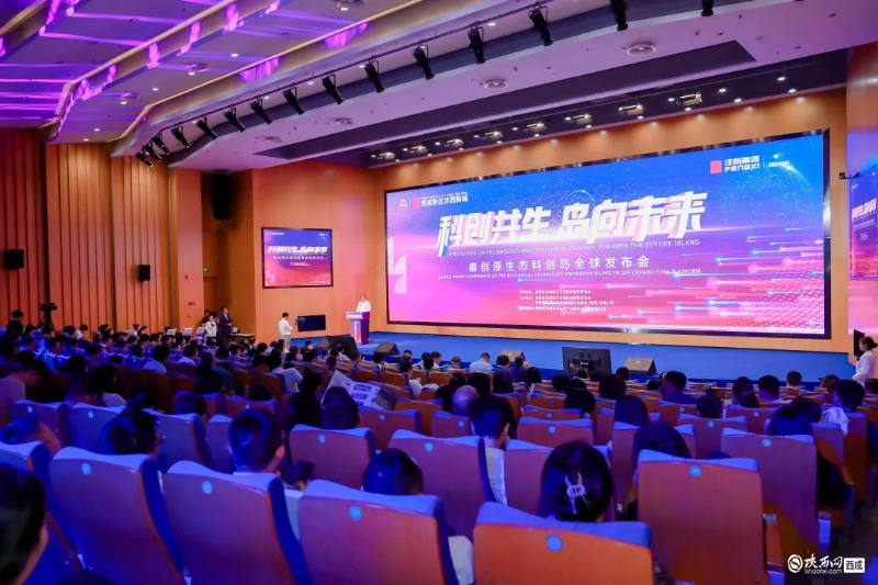 图片7