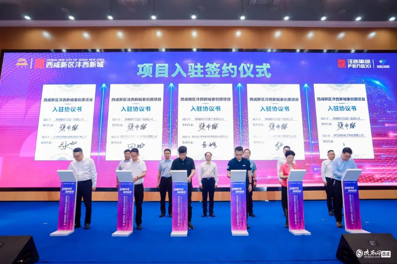 图片8