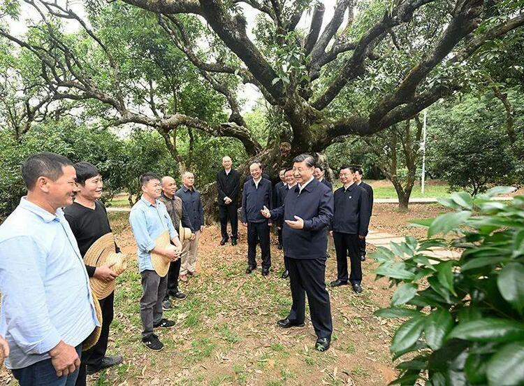 时政微观察｜跟着总书记学调查研究求“效”