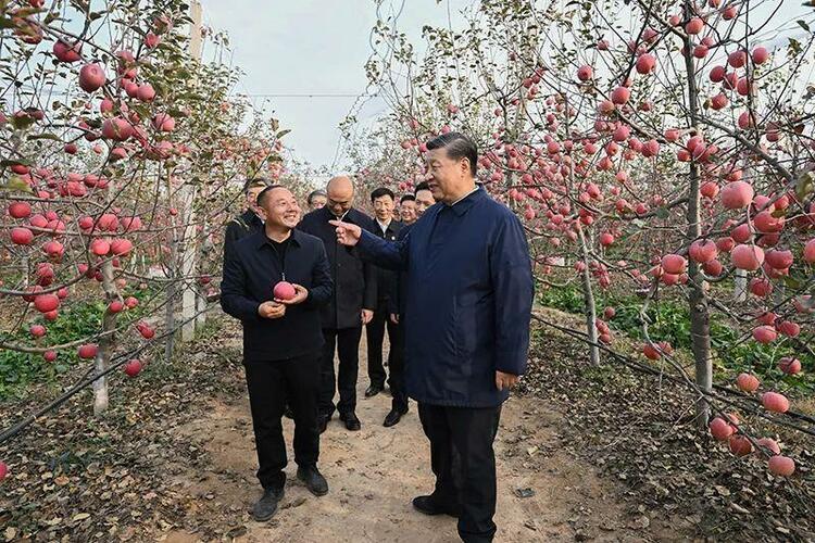 时政微观察｜跟着总书记学调查研究求“效”