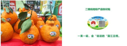 “蒲江丑柑”擦亮地标名片，地标产品助力乡村振兴