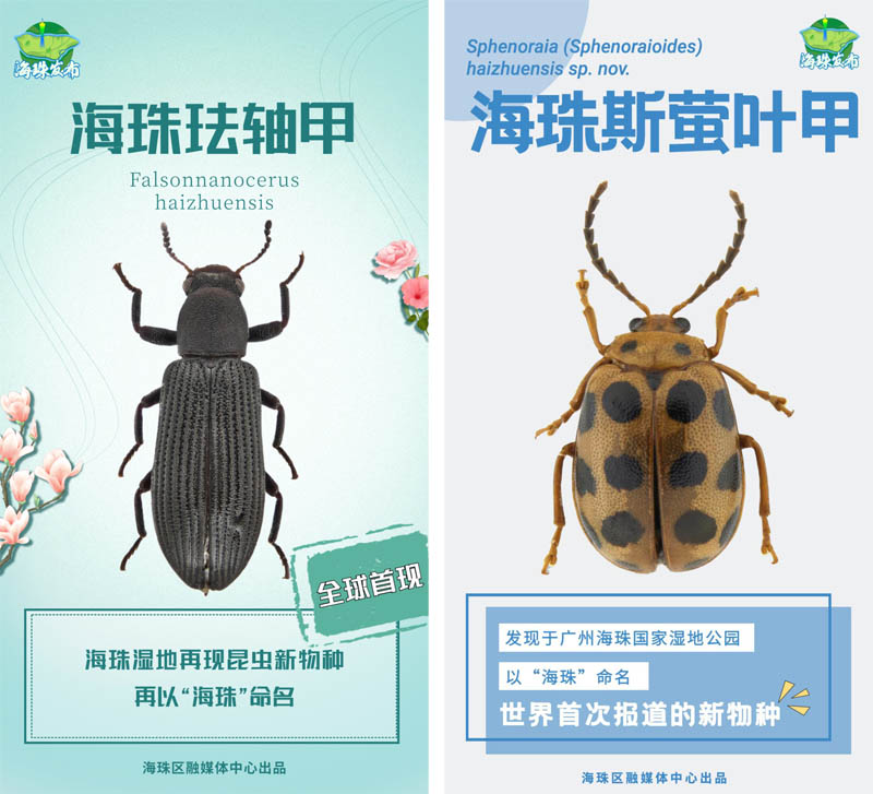 两个世界新物种