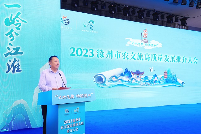 滁州市人民政府副市长苏虹.jpg