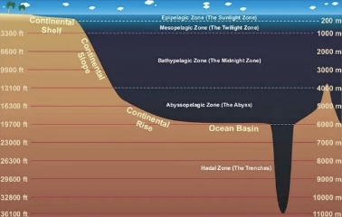 到深藍直至黑藍——手錶防水性能與地理學上的海洋分層建立了對應關係