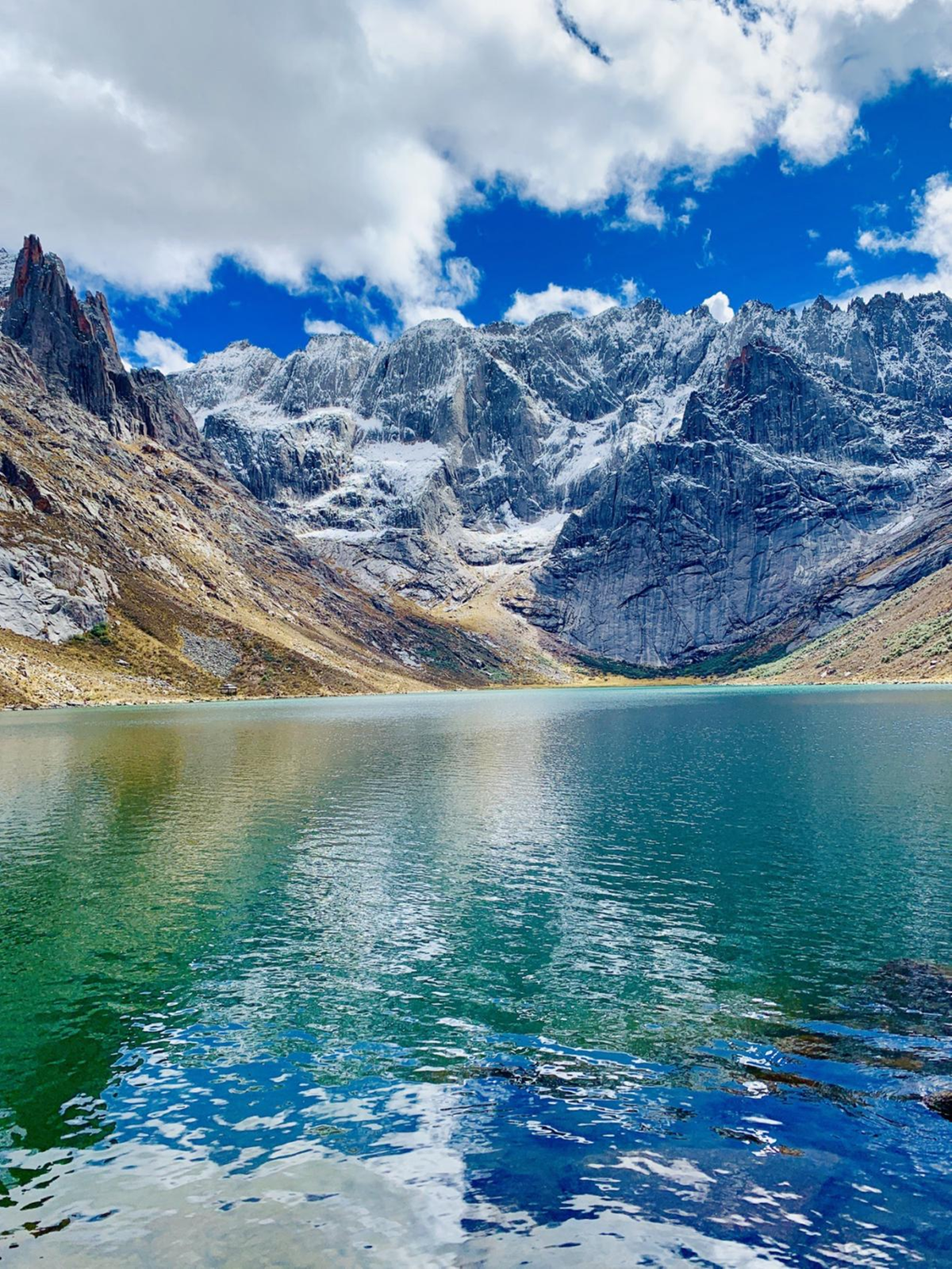 助力温州迎新春年货展 | 阿坝县农特产走上市民春节餐桌