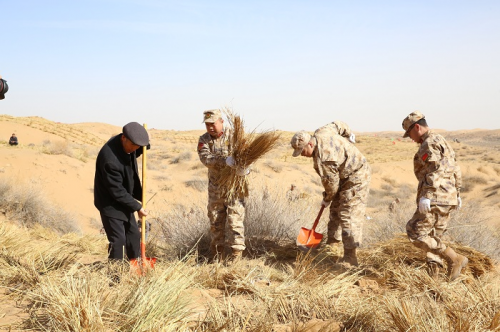 治沙造林,人民子弟兵在行动 - 中国日报网