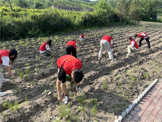 司马南哈尔滨商业大学图片