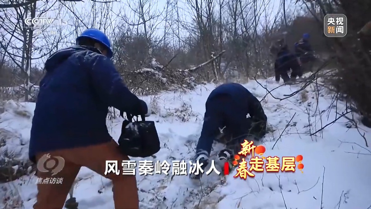 焦点访谈丨融化线路冰雪 守护万家灯火 背后是秦岭深处他们的坚守 中国日报网